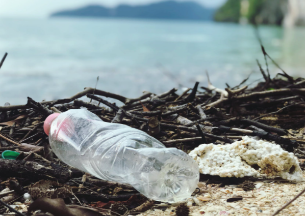 plastic bottle